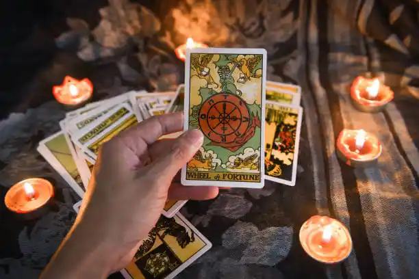 tarot cards Amite City